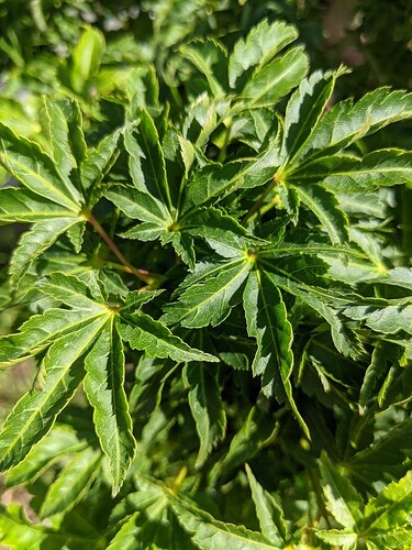 PXL_20220516_081804866