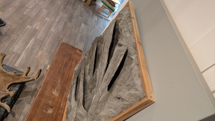 PXL_20250212_224608374