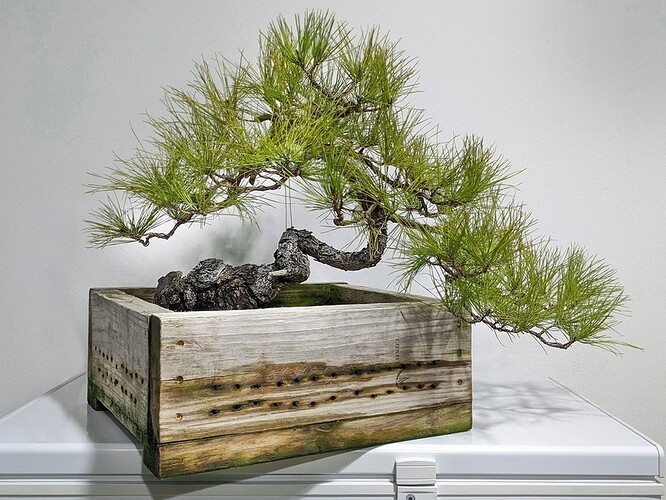 Pre 1st Repot_20220130