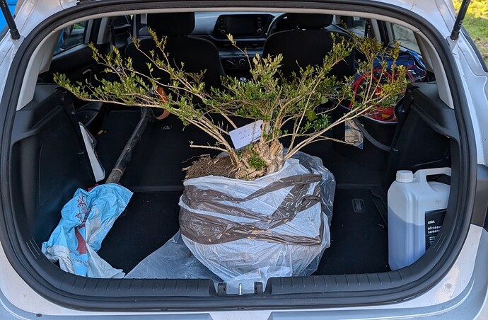 PXL_20250301_153641281~2