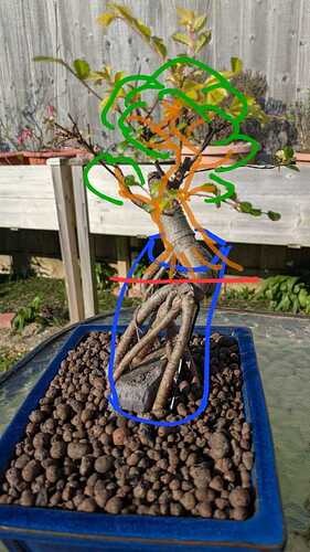 Elm option