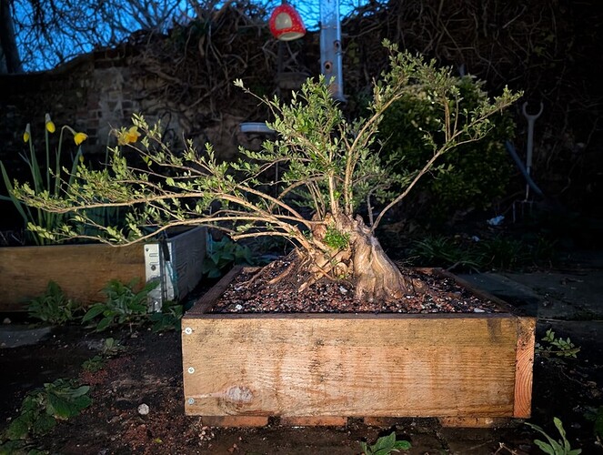 PXL_20250305_182222203