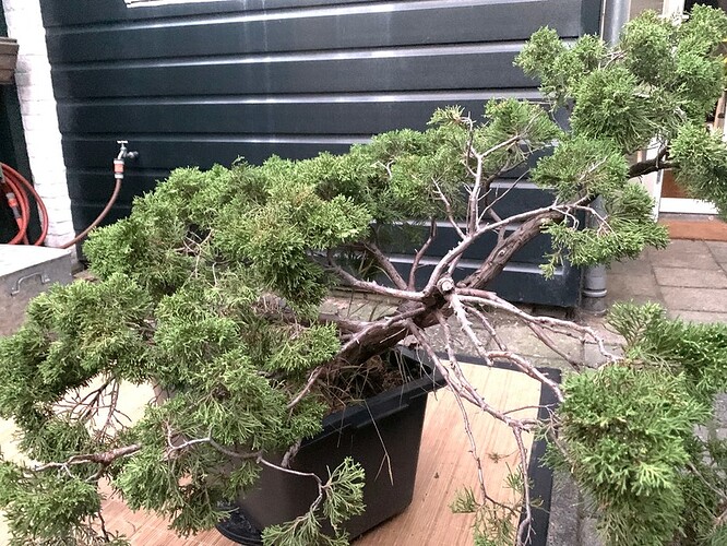 2022-08-29-juniper-proposal2