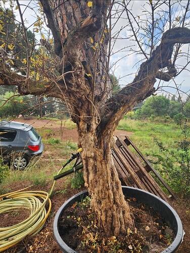 Screenshot_20231212_151328_Gallery