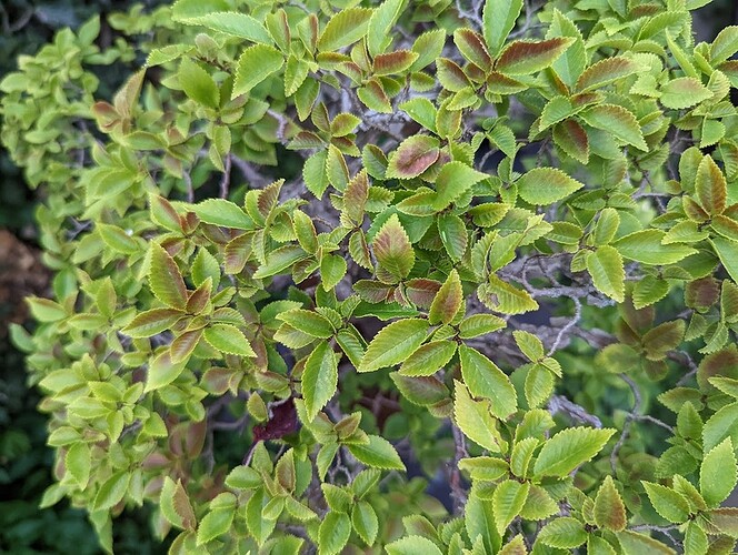 PXL-20220719-191411958