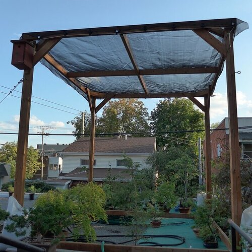 pergola-20210822-2