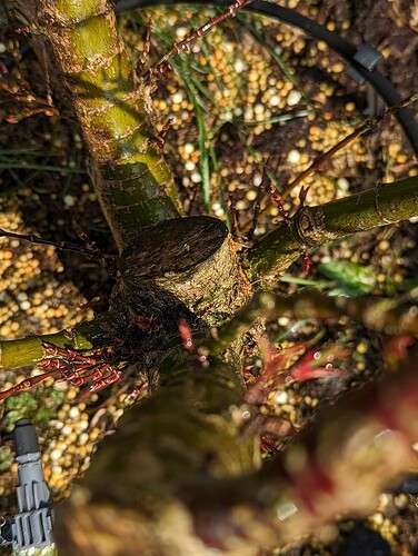 PXL_20230409_111249922