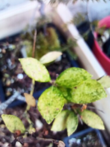 IMG_20230426_173118_345