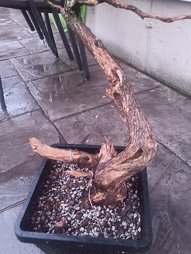 IMG_20230427_194238_148