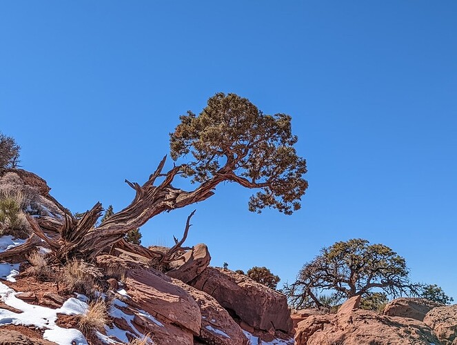 PXL_20220228_201213345