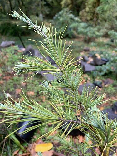 398372712_10228789484915684_4757463370753819967_n