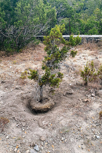 ashe-in-ground