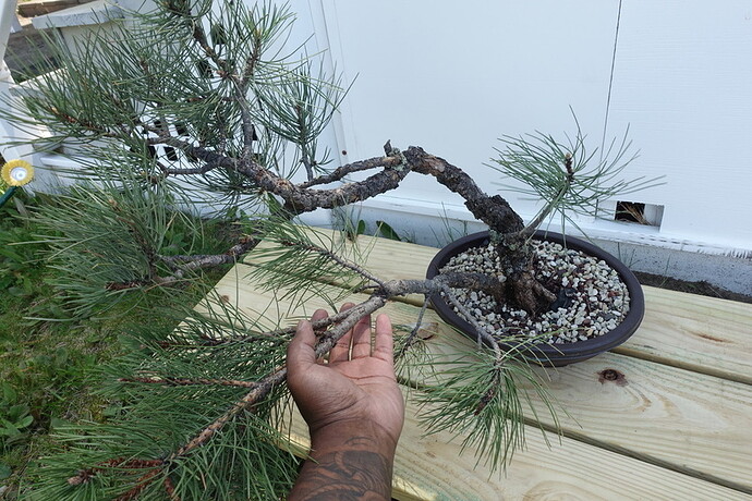 UNADJUSTEDNONRAW_thumb_1c45