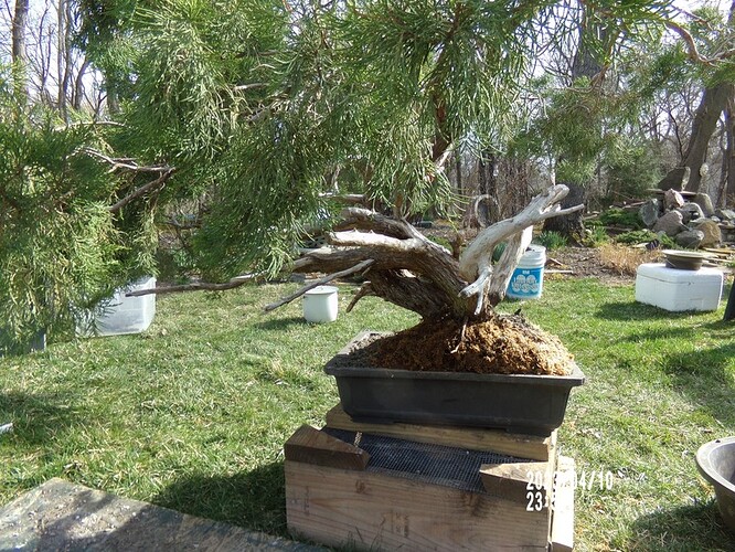 17 back phagnam wall