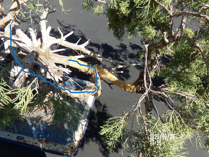 moved to front and lifted blue