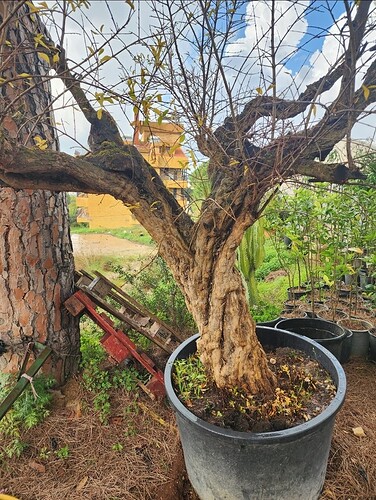 Screenshot_20231212_151307_Gallery