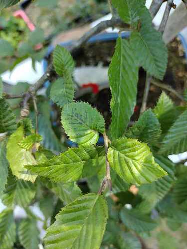 received_943686913500448