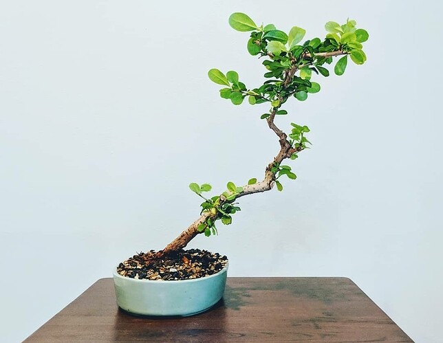 Screenshot_20210725-230537