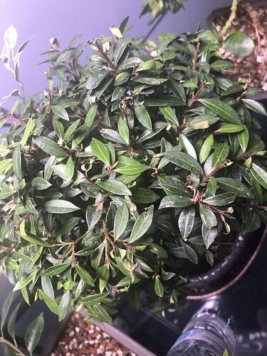 57341BC5-3BEB-4DBE-9EAC-86FFED6E6183