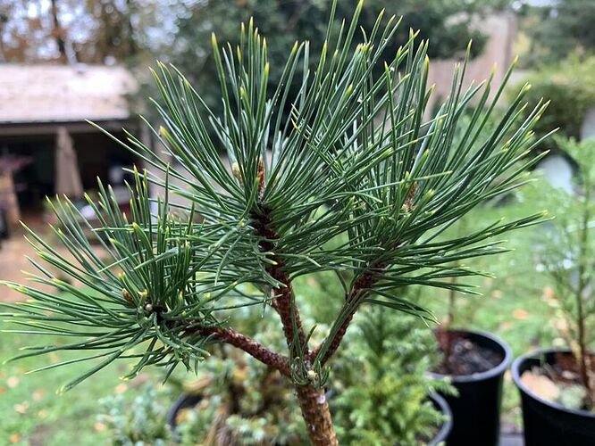 398345648_10228789485075688_512828529398260059_n