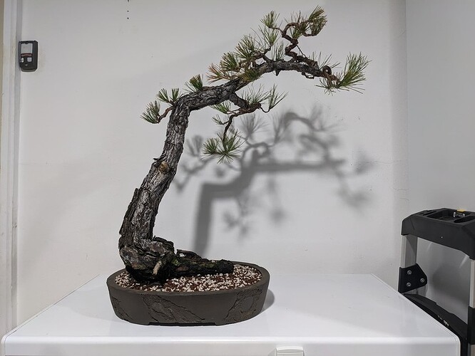 Post Repot_02