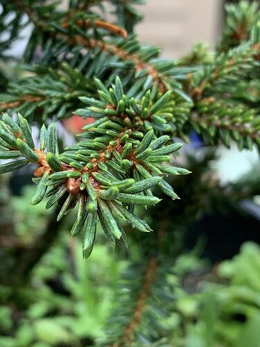 398403865_10228789483675653_8270035932063651383_n