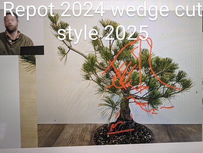 PXL_20240131_182958903~3