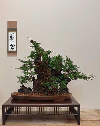 IMG-20210401-WA0009