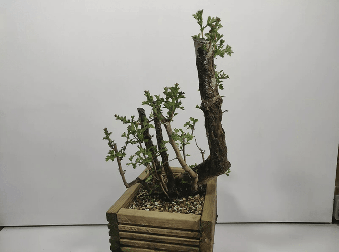 Screenshot_20210901-010941_eBay