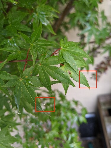 PXL_20210625_220617314