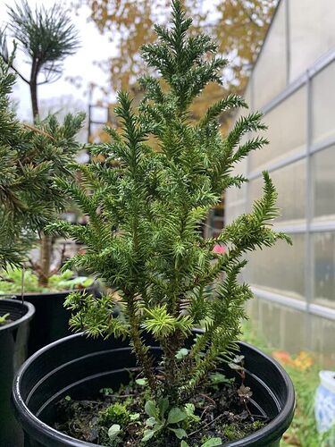 398296389_10228789485275693_7278930412820970833_n