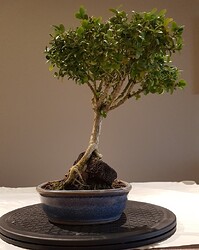 3 NarrowView_LeaningRight