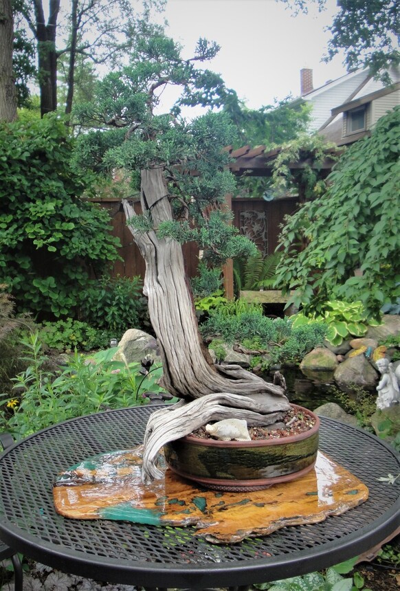 Tanuki/Phenix graft - Page 2 - Design - Mirai Forum