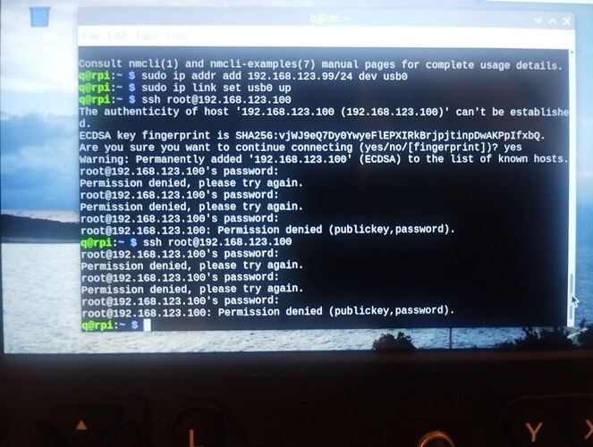 photo_2026-02-10_22-51-40