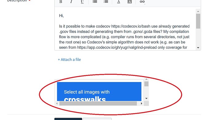 Codecov_captcha_scaling