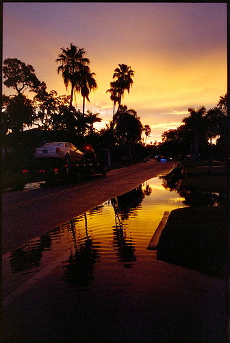 cinestill800t-negative-lab-pro-example-1
