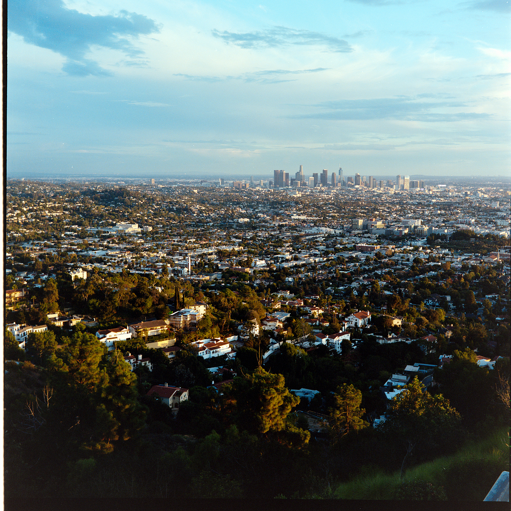 _NZF3765_merged - No FFC