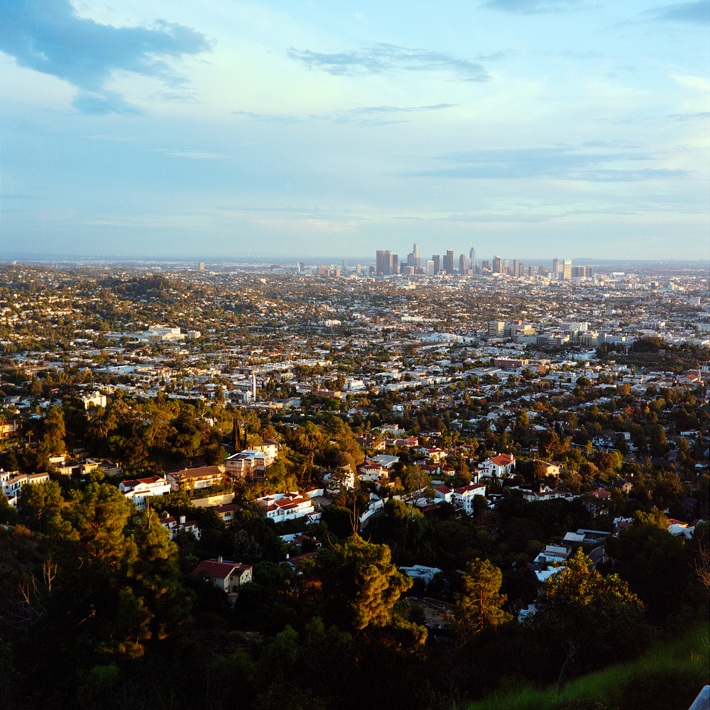 _NZF4548_merged - +0