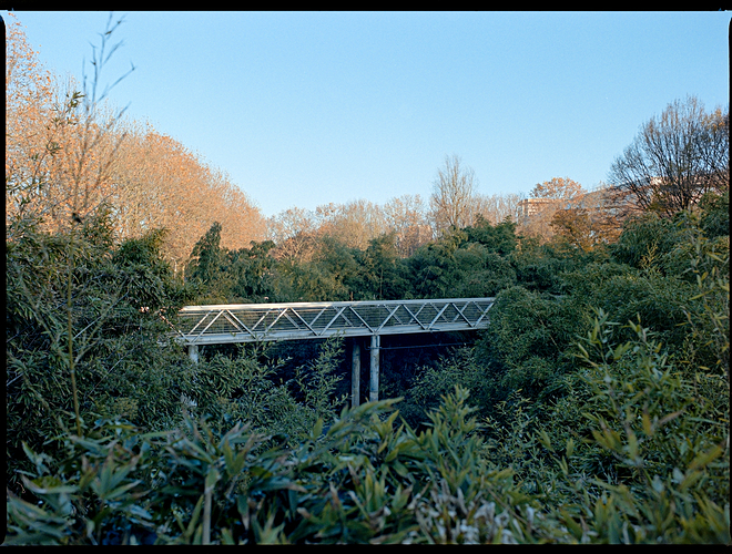 221126-VIL-Kodak 160-011