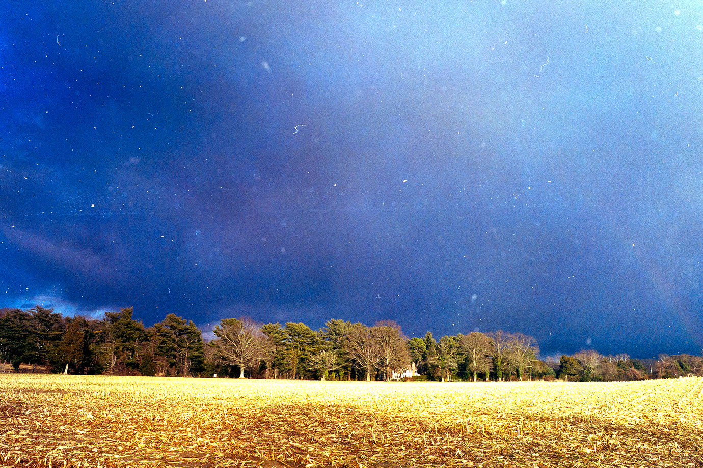 Studio Session-046-positive-positive