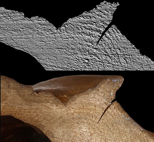 confronto-foto-3d-base