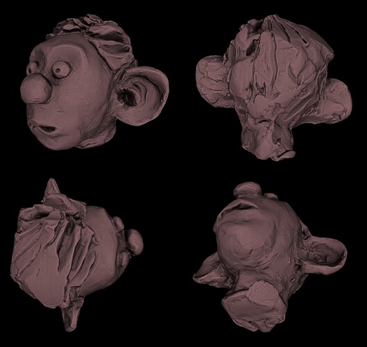 Head
