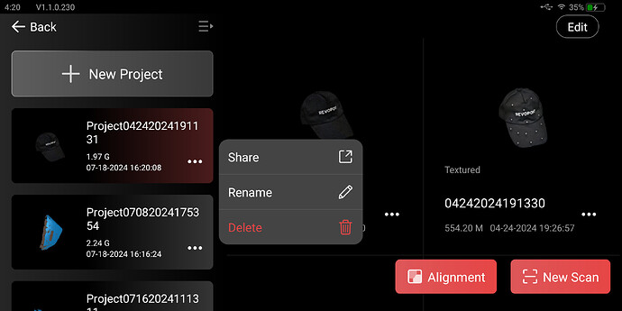 project renaming function