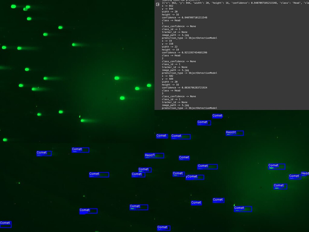 How to show JSON File elements in Prediction Image - 🤝 Community Help ...