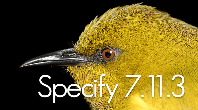 Specify 7.11.3 Banner Image