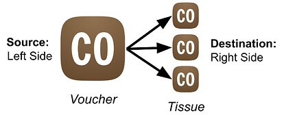 Diagram of the left and right side Collection Objects, left being the source, right being the destination. The left has one object, the right has 3.