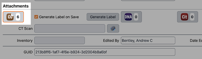 Attachment button on the form