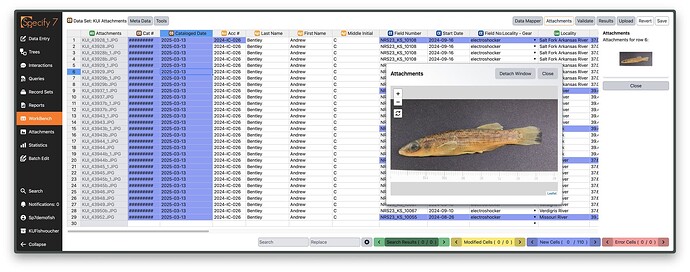 Data set with attachment dialog