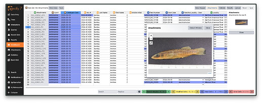 Data set with attachment dialog