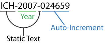 Field Format example